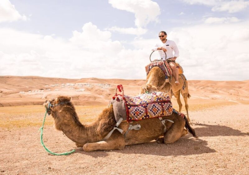 Sunset Camel Riding in Agafay Desert & Dinner in Chouf L'Or - FAQ