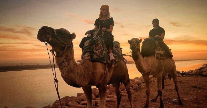 Sunset Camel Riding Including BBQ Dinner & Hotel Transfers - The Sum Up