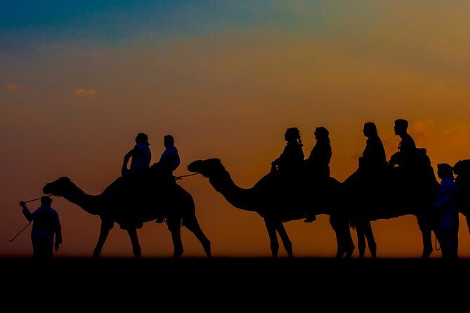Sunset Camel Trekking with Falcon Show & VIP BBQ Dinner - Key Points