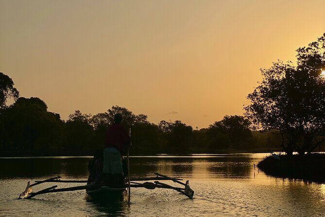 Sunset Canoe Tour on a River within the Mangroves - What to Expect on the Tour