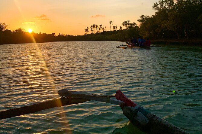 Sunset Canoe Tour on a River within the Mangroves - Value for Money: Beyond the Price Tag