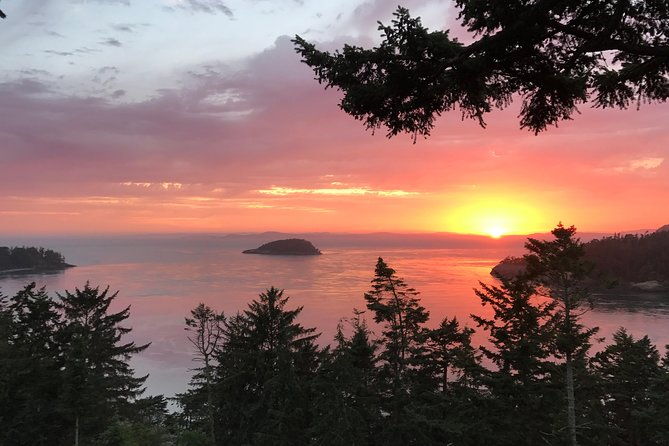 sunset-canopy-climb-on-lopez-island