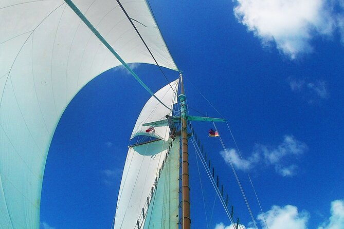 sunset-champagne-cruise-on-a-classic-schooner-with-boat-dogs