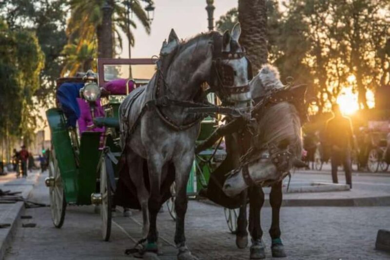 Sunset City Tour : Souks & Medina with Caleche by Night - Key Points