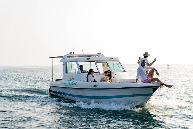 Sunset Corniche Cruise - 2 hours trip - What to Expect on the Abu Dhabi Sunset Corniche Cruise