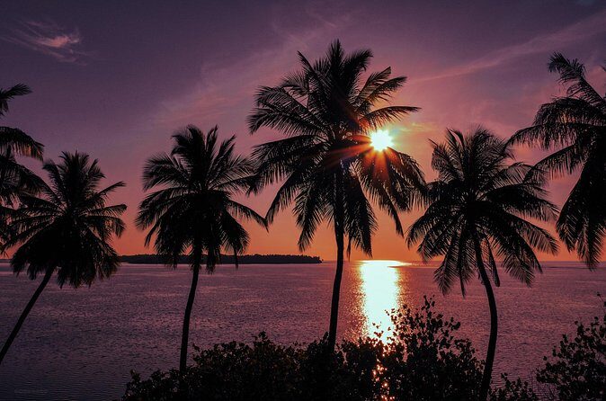 Sunset Cruise and Night Fishing in Dhiffushi - Who Should Consider This Experience?