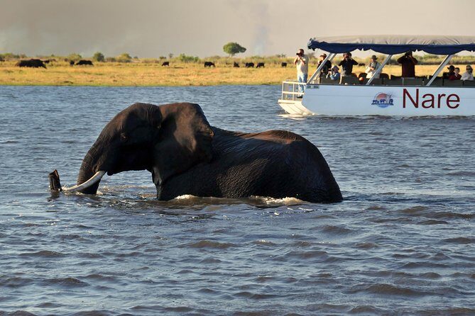 Sunset Cruise on Chobe River with Hotel Pickup from Kasane - FAQs