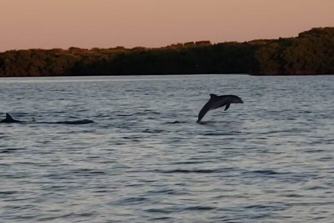 sunset-cruise-to-johns-pass-madeira-beach-st-pete-beach