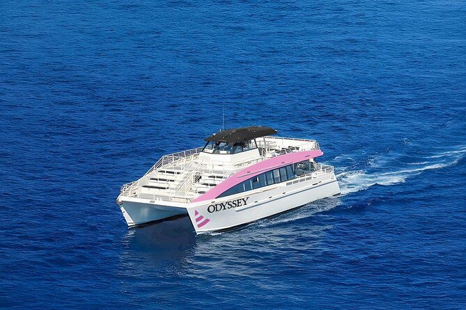 sunset-cruise-whale-watching-from-oahu