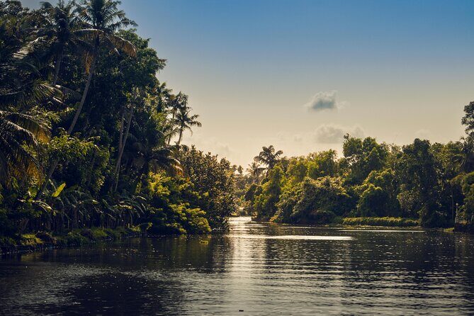 Sunset Cruise with Village Life and Local Food - Why This Tour Is Worth Considering