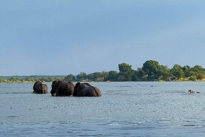 Sunset Cruises on the Zambezi River from Victoria Falls - The Sum Up: Who Should Consider This Tour?