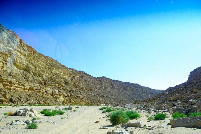 Sunset Desert Experience Canyon, Oasis & Star watching Hurghada - Final Thoughts: Who Is This Tour Best For?