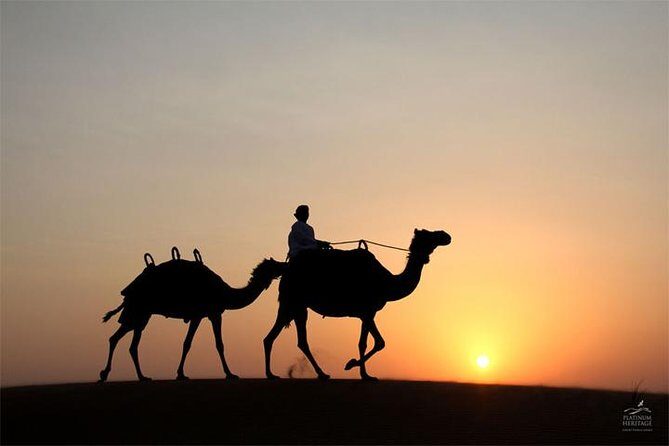 Sunset Desert Safari Dubai with BBQ Dinner - The Experience Breakdown: What to Expect