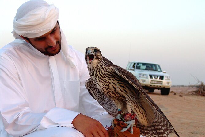 Sunset Desert Safari | Premium BBQ Dinner | Red Sand Dune - Who Is This Tour Best For?  