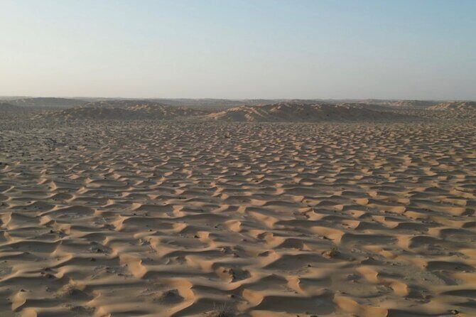 Sunset desert safari Salalah with Dinner in a Bedouins camp - Why This Tour Is a Great Choice