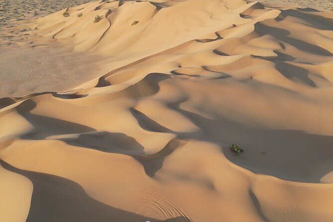 Sunset desert safari Salalah with Dinner in a Bedouins camp - Who Should Book This Tour?