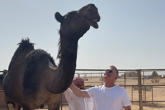 Sunset desert safari Salalah with Dinner in a Bedouins camp - FAQ