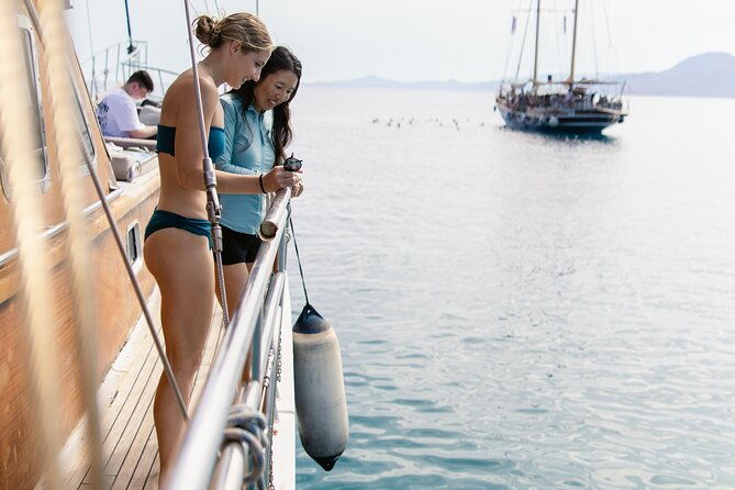 sunset-dinner-cruise-sunset-swim-drinks-and-dinner-onboard-2