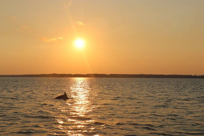 sunset-dolphin-cruise-in-hilton-head