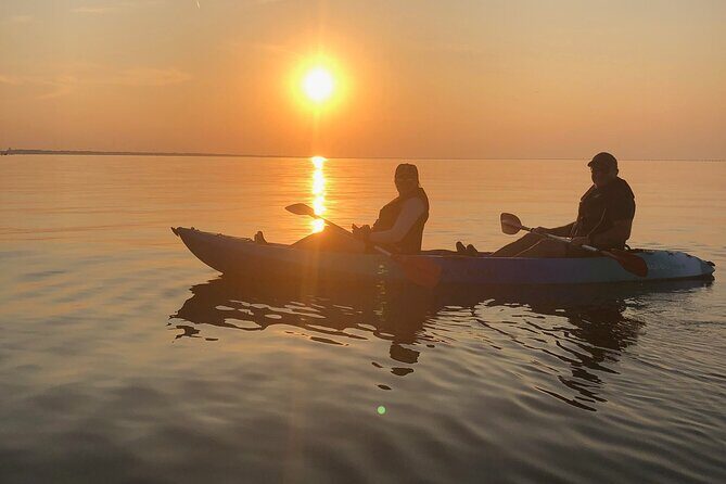Sunset Dolphin Kayak Tours - Who Will Love This Experience?