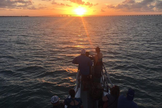 sunset-dolphin-watch-tour