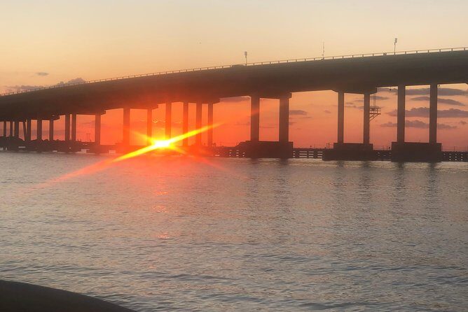Sunset Dolphin Watching Cruise in Destin Harbor - Who Should Book This Tour?