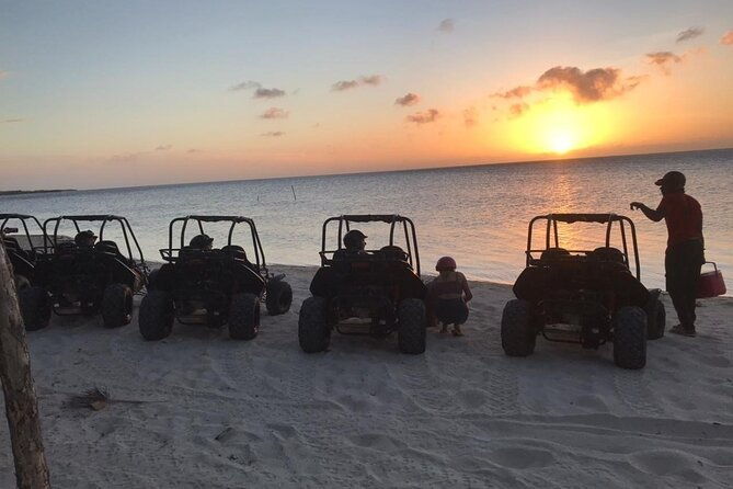 sunset-dune-buggy-tour-wildlife-eco-nature-park-adventuremin2
