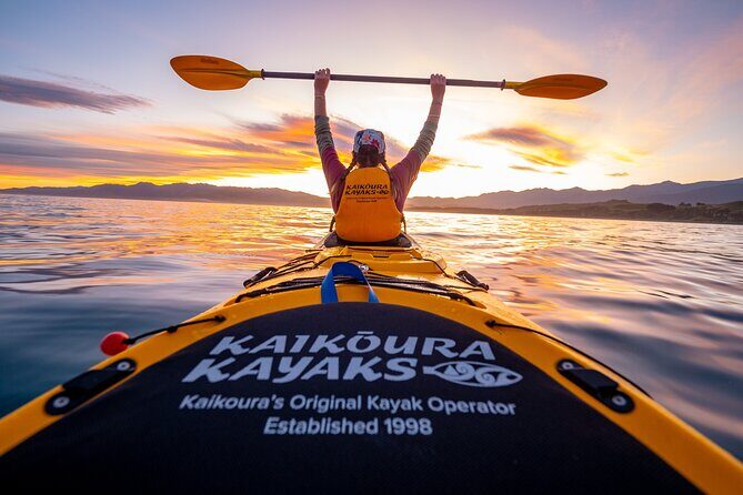 Sunset Evening Kayaking Tour - Kaikoura - Key Points