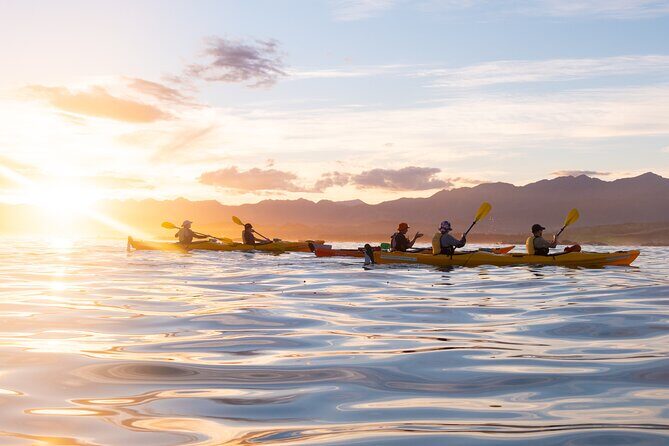 Sunset Evening Kayaking Tour - Kaikoura - An In-Depth Look at the Kaikoura Sunset Kayaking Experience