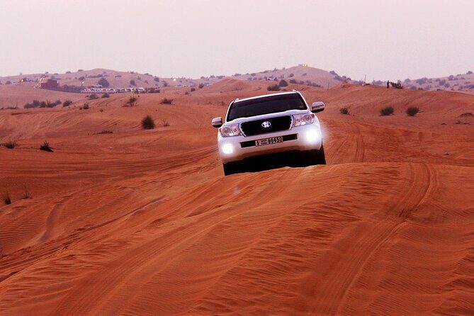 Sunset Evening Safari,Camel ride,live shows and BBQ Dinner with No Hidden Charge - The Experience’s Strengths & Potential Drawbacks