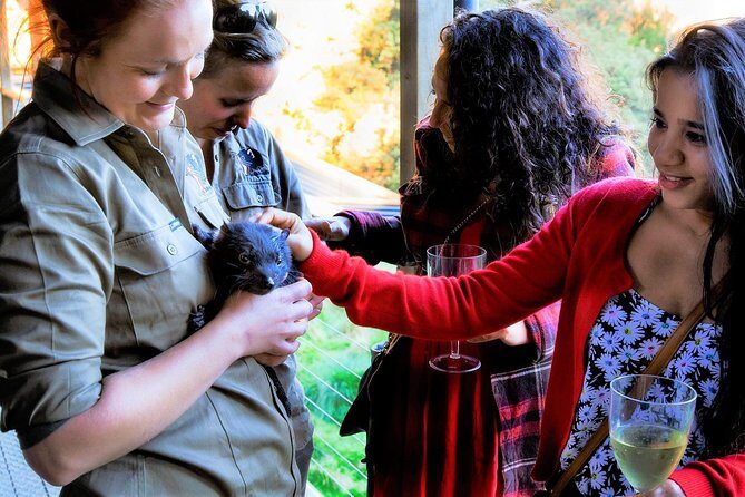 Sunset Experience - The Value of the Sunset Wildlife Encounter