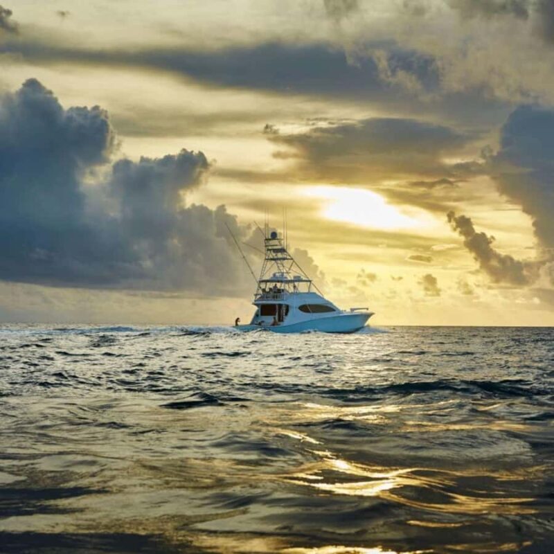 Sunset fishing - What To Bring & Considerations