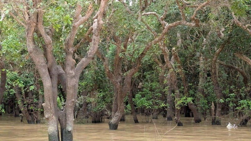 sunset-floating-village