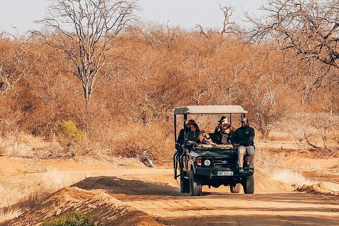 Sunset Game Drive in Big5 Reserve - Key Points  