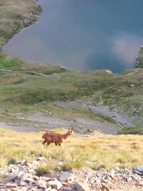 Sunset Hike on Transfgran: Buteanu & Capra glaciary lake - Authentic Insights from Reviewers