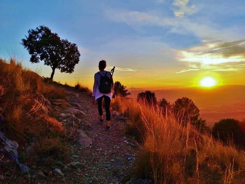 Sunset Hike & Summit Sierra Nevada with pup - An In-Depth Look at the Sunset Hike & Summit Sierra Nevada Experience