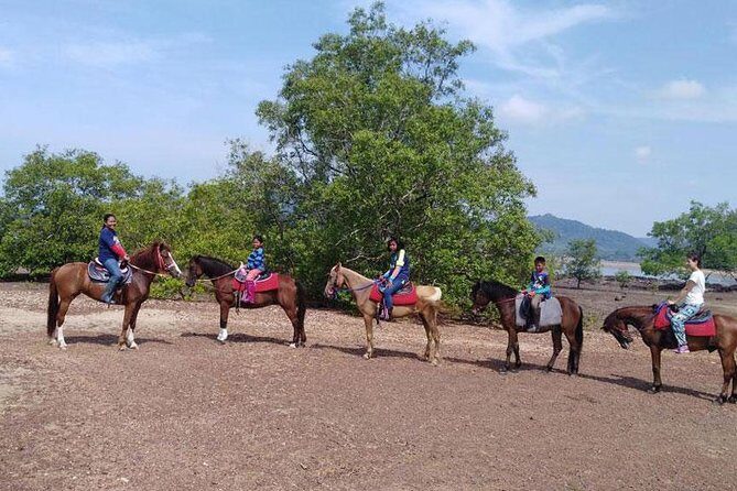 Sunset Horse Riding Tour at Ao Nam Mao Beach Krabi - What’s Included and What to Consider