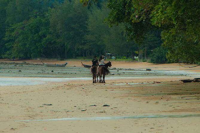 Sunset Horse Riding Tour at Ao Nam Mao Beach Krabi - Who Will Love This Tour?