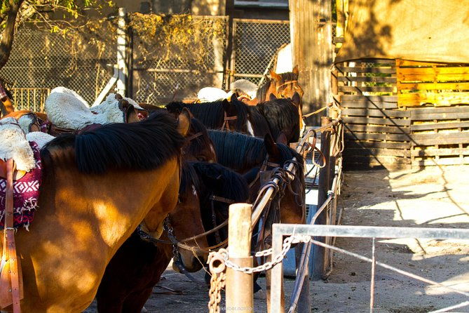 sunset-horseback-riding
