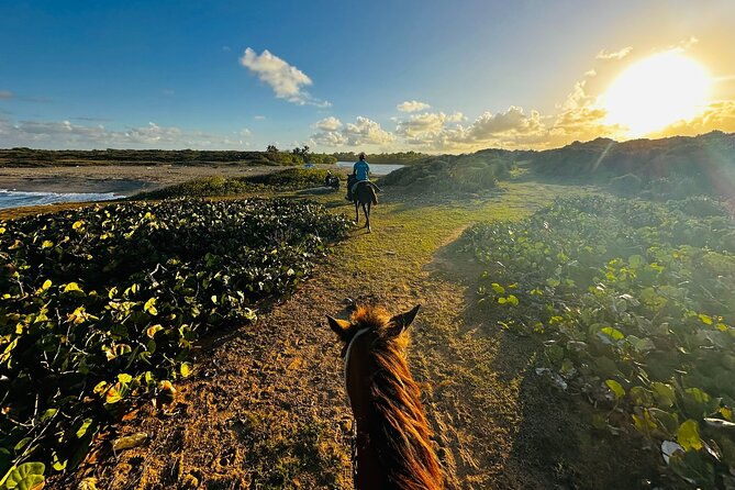 sunset-horseback-riding-tour-at-macao-beach-with-transfers