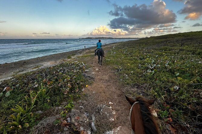 sunset-horseback-riding-tour-at-macao-beach-with-transfers