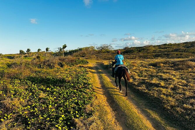 sunset-horseback-riding-tour-at-macao-beach-with-transfers