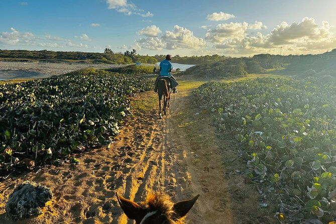 sunset-horseback-riding-tour-at-macao-beach-with-transfers