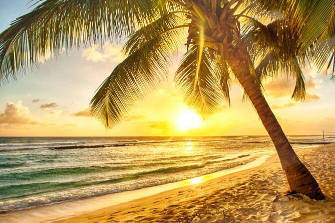 sunset-horseback-riding-tour-at-macao-beach-with-transfers