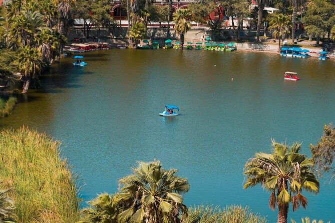 sunset-in-huacachina-and-tacama-private-tour-from-lima