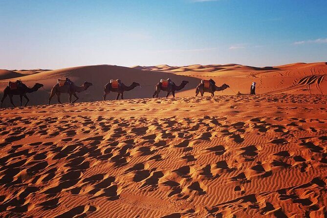 Sunset in Merzouga Sahara Desert & Camel Ride Erg Chebbi Dunes - Conclusions