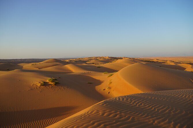Sunset in Wahiba Sands 4x4 Adventure - Unpacking the Wahiba Sands Sunset Tour: Details and Highlights