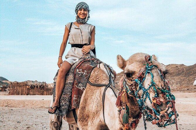 Sunset Jeep Safari Dinner, Camel Ride, Show & Transfers- Hurghada - Key Points