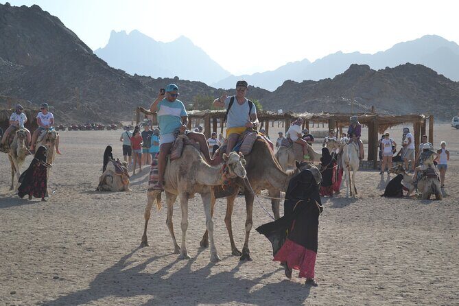 Sunset Jeep Safari Dinner, Camel Ride, Show & Transfers- Hurghada - Final Thoughts