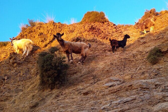 Sunset Jeep Tour in Crete - The Sum Up